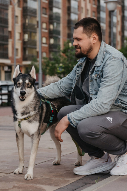 Фотосессия с питомцем — трогательные кадры с вашим любимцем – фото № 11